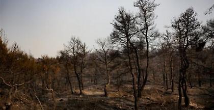 Η επόμενη μέρα στην Εύβοια-Εικόνες αποκάλυψης
