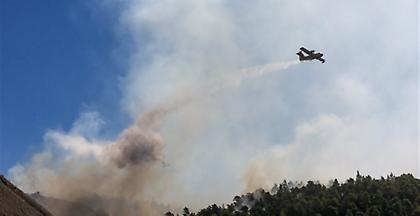Φωτιά Εύβοια: Μάχη με τις φλόγες-Συνεχείς αναζωπυρώσεις