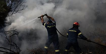 Ολονύχτια μάχη με τις φλόγες στην Εύβοια
