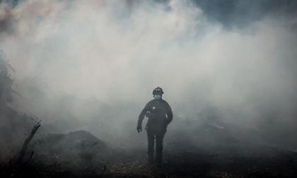 Τραγικές εικόνες από τα καμένα στην Εύβοια – Στάχτες και νεκρά ζώα παντού