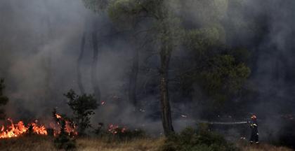 ΓΓΠΠ: Προειδοποίηση για υψηλό κίνδυνο πυρκαγιάς για αύριο, Σάββατο 17/8