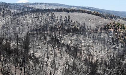 Φωτιά στην Εύβοια: Οι αρχές ζητούν άρση του τηλεφωνικού απορρήτου