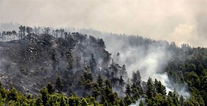 Φωτιά Εύβοια: Περιμένουν να «μιλήσουν» τα κινητά των υπόπτων
