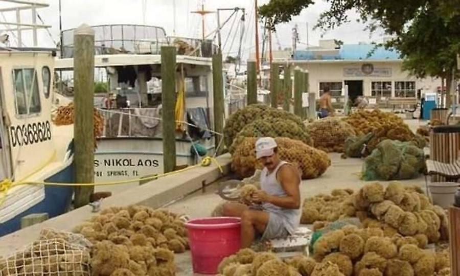 Το ελληνικό χωριό των ΗΠΑ που συνιστά τη μεγαλύτερη ελληνική κοινότητα στον κόσμο