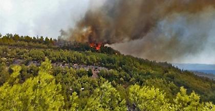 Πύρινα μέτωπα σε Κέρκυρα και Λακωνία- Επί τόπου η πυροσβεστική