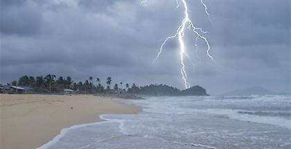 Εννέα τραυματίες από πτώση δέντρου εξαιτίας κεραυνού στην Πενσιλβάνια