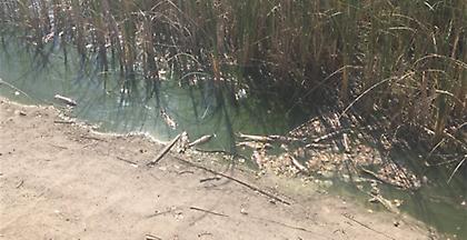 Λήψη άμεσων μέτρων για το Πάρκο Τρίτση ζητά ο Δήμος Ιλίου από τον Χατζηδάκη