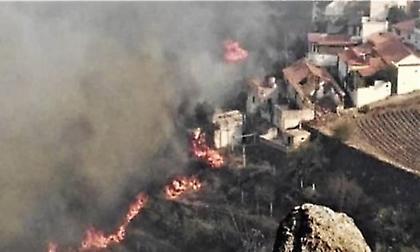 Γκραν Κανάρια: Περιβαλλοντική τραγωδία - Στάχτη έγιναν 60.000 στρέμματα