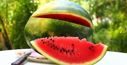 Δέσμευση 27,6 τόνων καρπουζιών στον Πειραιά