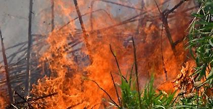 Σε εξέλιξη πυρκαγιά στη Σαμοθράκη