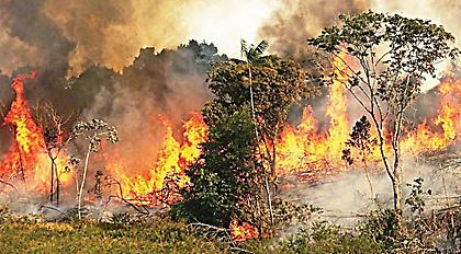Αμαζόνιος φωτιά: Ο ουρανός στην Βραζιλία δεν σκοτεινιάζει από την πυρκαγιά