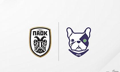 Θωρακίζει το PAOK TV από την πειρατεία ο ΠΑΟΚ