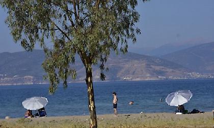 Καιρός: Καύσωνας και θυελλώδεις άνεμοι