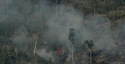 Βραζιλία: Νέα μέτωπα φωτιάς - Η αγωνία για τον Αμαζόνιο αυξάνεται