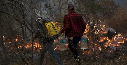 Αμαζόνιος: Εκατομμύρια στρέμματα δάσους έχουν καταστραφεί στη Βολιβία