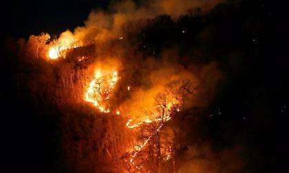 Αμαζόνιος: Οι βροχές δεν θα σβήσουν τις φωτιές παρά μόνο αρκετές εβδομάδες αργότερα