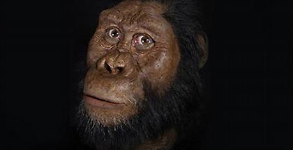 Μοναδικό κρανίο προγόνου μας ηλικίας 3,8 εκατ. ετών βρέθηκε στην Αφρική