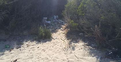 Σκουπιδότοπος σε παραλία «διαμάντι» της Χαλκιδικής στο Παλιούρι (vid+pics)