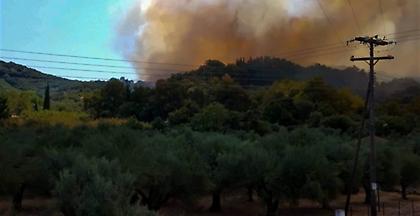 Φωτιά στη Λαμία. Κατακαίει χαμηλή βλάστηση
