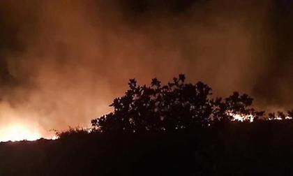 Σε εξέλιξη φωτιά στην Κάρυστο