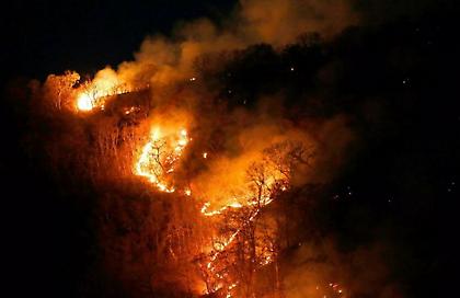 Αμαζόνιος: Διπλασιάστηκε ο ρυθμός αποψίλωσης της περιοχής