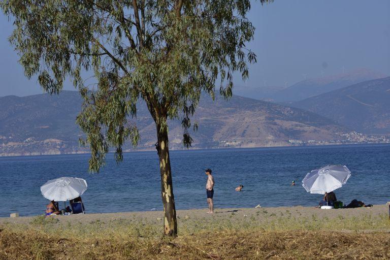 Καιρός: Βροχές στα βόρεια και τα δυτικά της χώρας - Συνεχίζονται οι ισχυροί άνεμοι στο Αιγαίο