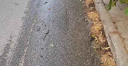 Καταγγελία: Πλημμύρα σε οδό της Μεταμόρφωσης από σπασμένο σωλήνα