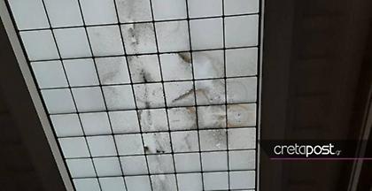 Απάντηση του Βρετανικού Μουσείου για τις καταγγελίες περί μούχλας