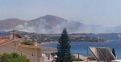 Πυρκαγιά στο Λαγονήσι - Προειδοποιητικό μήνυμα από 112 - Εντολή εκκένωσης