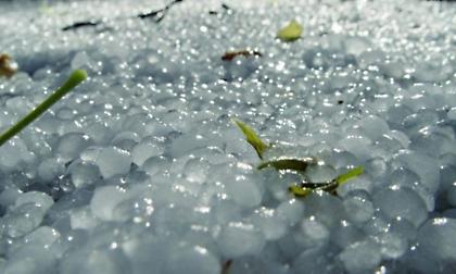 Τρίκαλα: Σοβαρές καταστροφές σε καλλιέργειες από ισχυρή χαλαζόπτωση