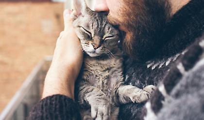 Οι γάτες δένονται συναισθηματικά με τους ανθρώπους αλλά δεν το δείχνουν πάντα
