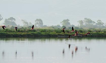 Navarino Challenge: με στόχο τον αειφόρο αθλητικό τουρισμό στην Ελλάδα