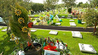 Cats n’ Dogs: Ξενοδοχείο, Κοιμητήριο και Αποτεφρωτήριο μικρών ζώων στο Κορωπί