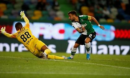 «Λιοντάρια» υπό εξαφάνιση