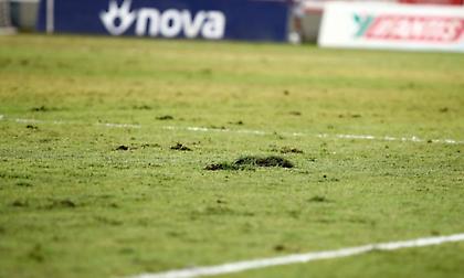 Αντικαθίσταται ο χλοοτάπητας στο «AEL FC ARENA»