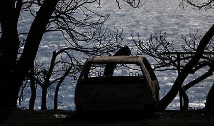 Νέα μήνυση για το Μάτι