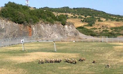 Η λίγκα τα… χωράφια και η ΕΠΟ την απαξίωση του VAR!