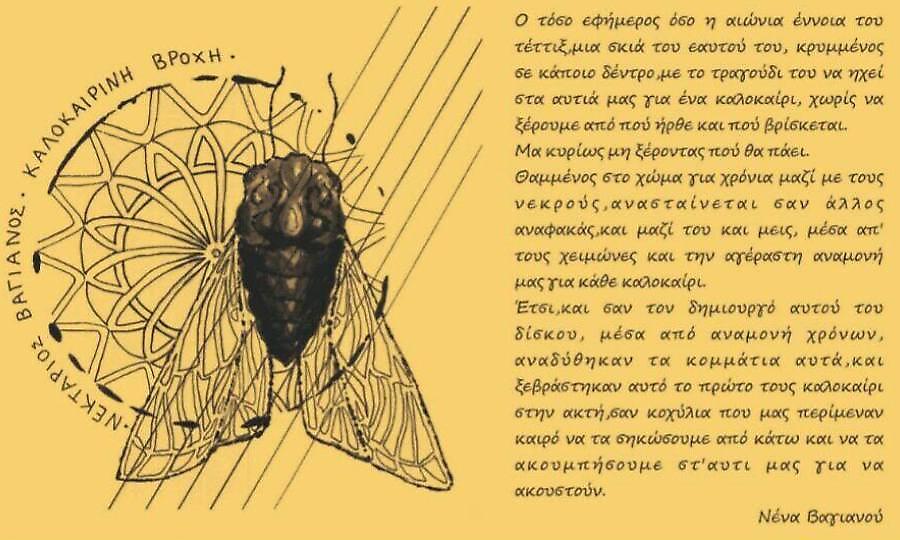«Καλοκαιρινή Βροχή»: Ο Νεκτάριος Βαγιανός & οι Αναφακάδες στον Σταυρό του Νότου