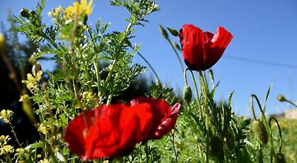 Γενικά αίθριος ο καιρός – Πιθανόν βροχές σε Κρήτη και Δωδεκάνησα