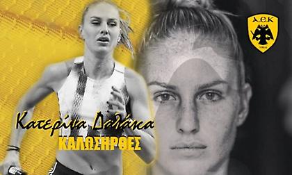 Στην ΑΕΚ η Δαλάκα