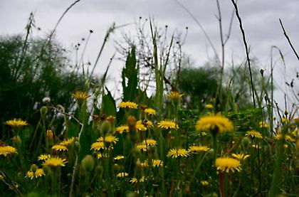 Αίθριος και σήμερα ο καιρός - Τοπικές νεφώσεις στην Κρήτη