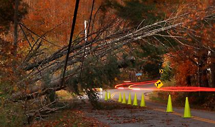 Γυναίκα σκοτώθηκε από δέντρο που καταπλάκωσε το αυτοκίνητό της