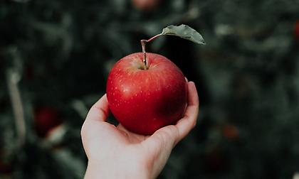 Γιατί «ένα μήλο την ημέρα, τον γιατρό τον κάνει πέρα»;