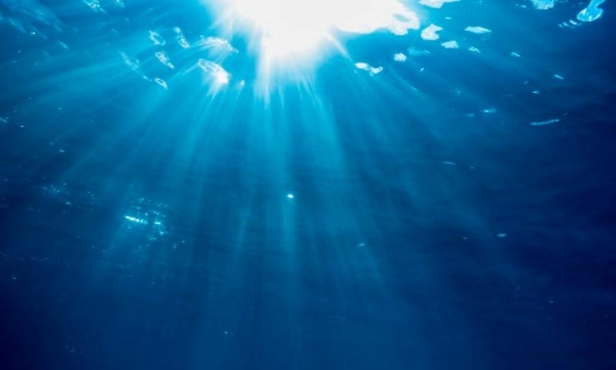 «Η ζώνη του Άδη»: Τι βρέθηκε στα άγρια νερά του βαθύτερου σημείου του πλανήτη