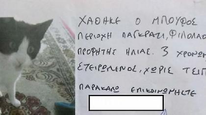 Μυθική απάντηση σε ανακοίνωση για χαμένο γάτο στο Παγκράτι που τον λένε Μπούφο