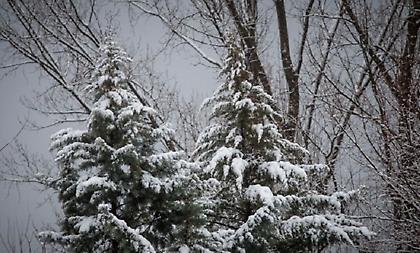 Μερομήνια: Το καιρό θα κάνει τα Χριστούγεννα και την πρωτοχρονιά – Πού θα χιονίσει