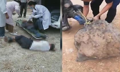 Κίνα: Σφήκες επιτέθηκαν και σκότωσαν τρία άτομα σε κηδεία