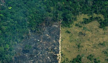 Αποκαρδιωτικά τα στοιχεία για την αποψίλωση του Αμαζονίου