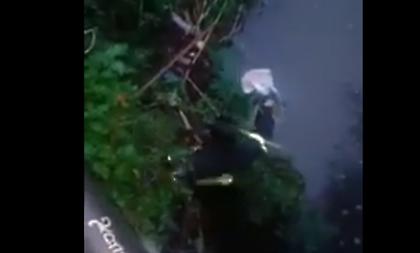 Κέρκυρα: Πέταξαν κουτάβια για να πνιγούν. Τα έσωσε η πυροσβεστική (vid)