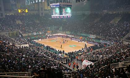 Ο πιστός οπαδός του Παναθηναϊκού από την Βαλένθια